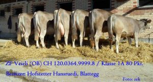 OB Hofstetter